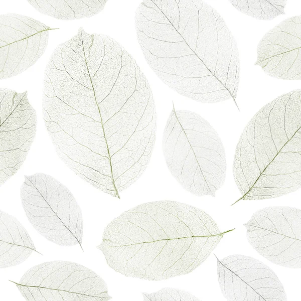 Dried leafs seamless background. — Stock Photo, Image