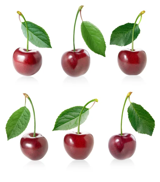 Cherry set. — Stockfoto