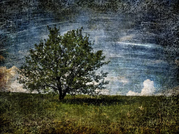 Sam drzewa na polu. — Zdjęcie stockowe