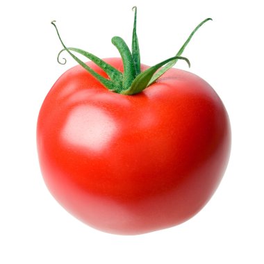 Tomato. clipart