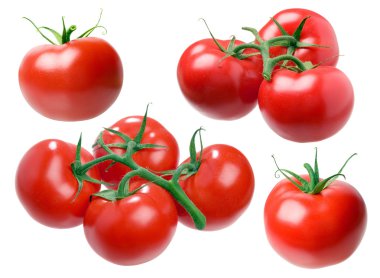 Tomato. clipart