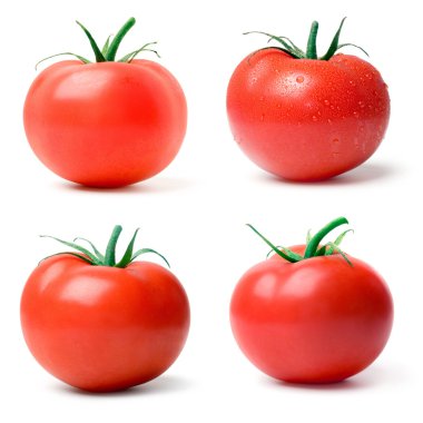 Tomato. clipart