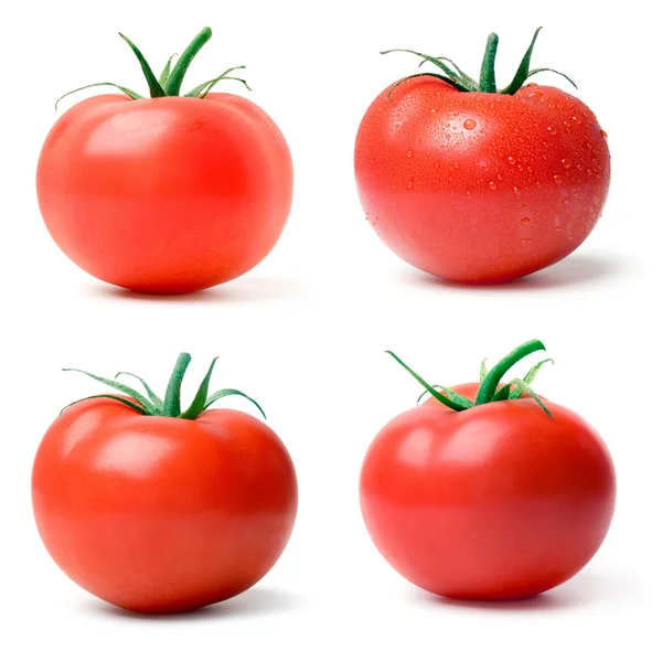 Pomidor. — Zdjęcie stockowe