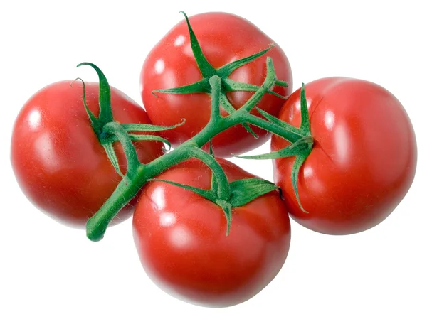 Tomat. — Stockfoto