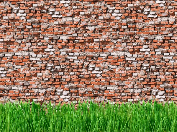 Çim ve duvar. — Stok fotoğraf