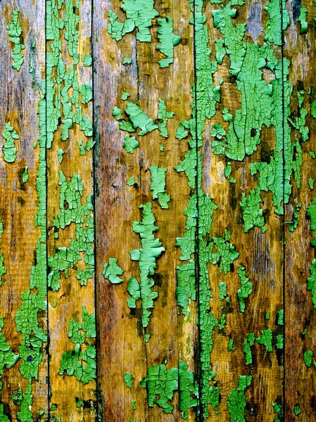 Gröna staket. — Stockfoto