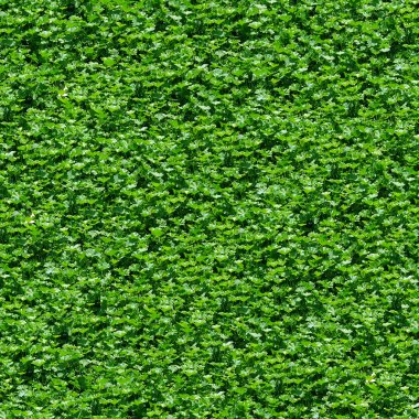 Seamless green grass pattern. clipart