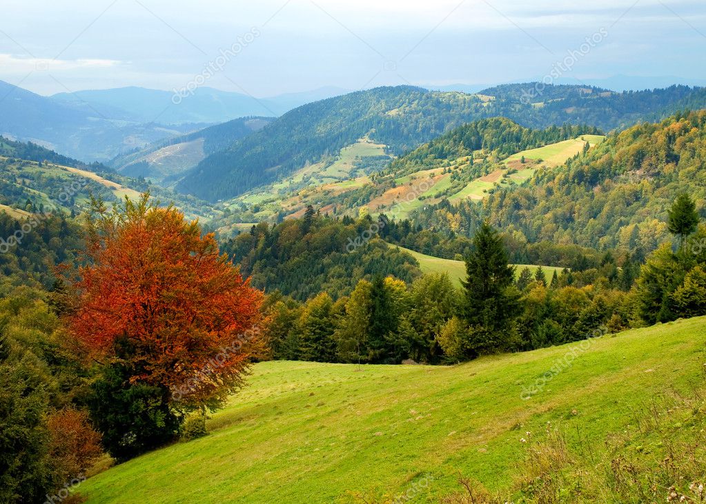 Ukrainian landscape. Stock Photo by ©Leonardi 3906977