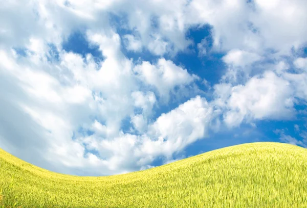 Небо и поле — стоковое фото