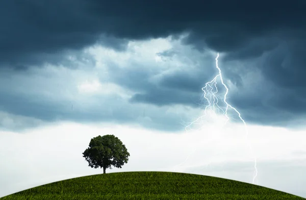 stock image Storm and tree