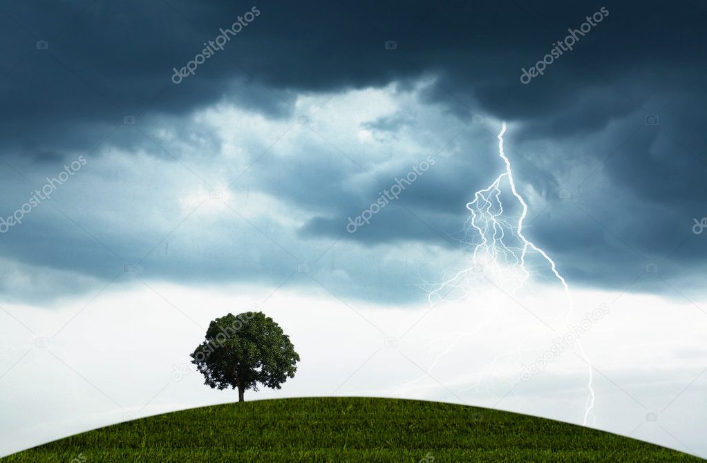 Storm and tree