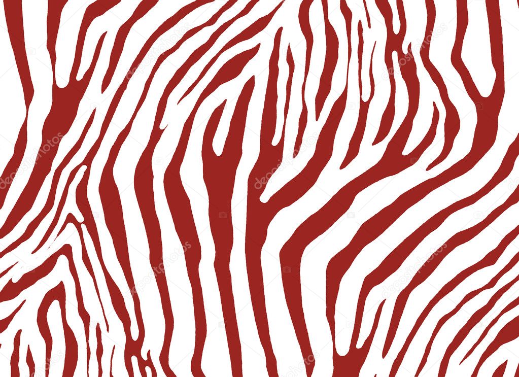 Zebra pattern — Stock Photo © parfta #3374257