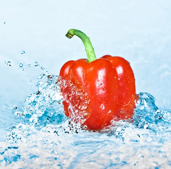 Pepper and water — Stock Photo, Image