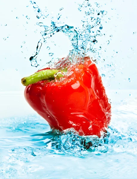 辣椒和水 — 图库照片