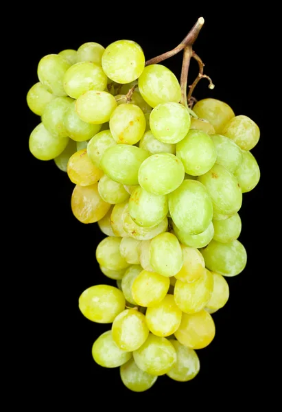 stock image Grapes