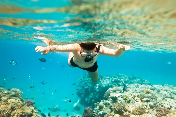 Snorkeler. Червоне море — стокове фото