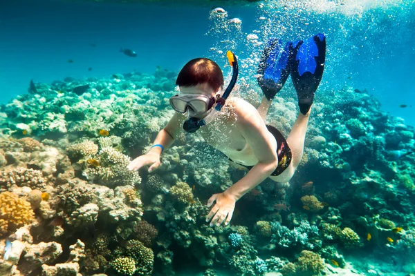 Snorklare. Röda havet — Stockfoto