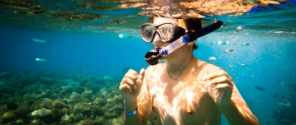 Snorkeler입니다. 홍 해 — 스톡 사진