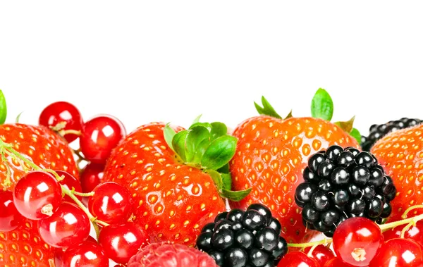 Berrys. —  Fotos de Stock