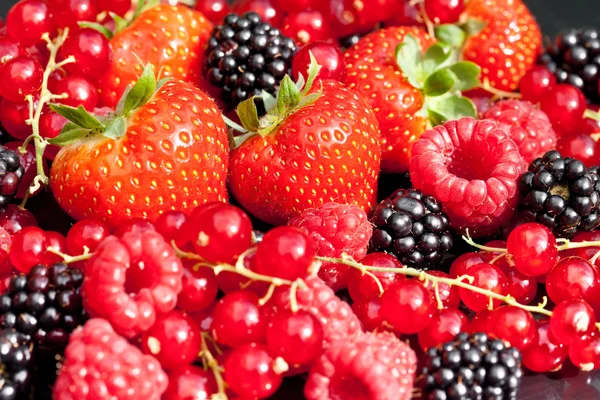 Berrys - morango, passa de Corinto, amora-preta, framboesa ... — Fotografia de Stock