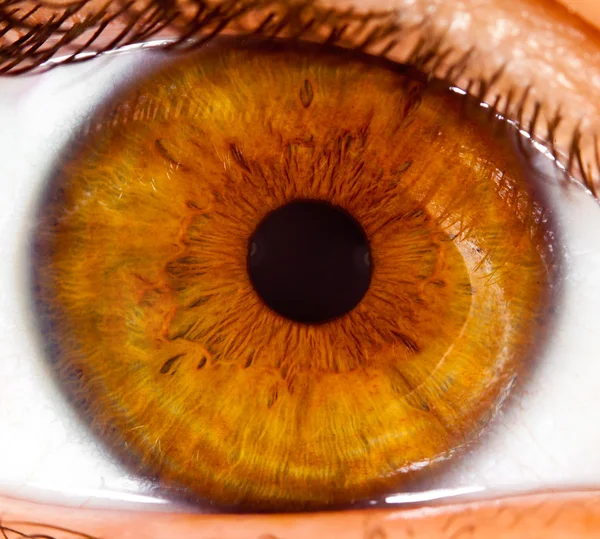 Human eye close up ... — Stock Photo, Image