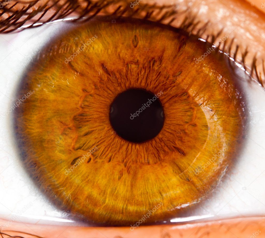 Human eye close up ...