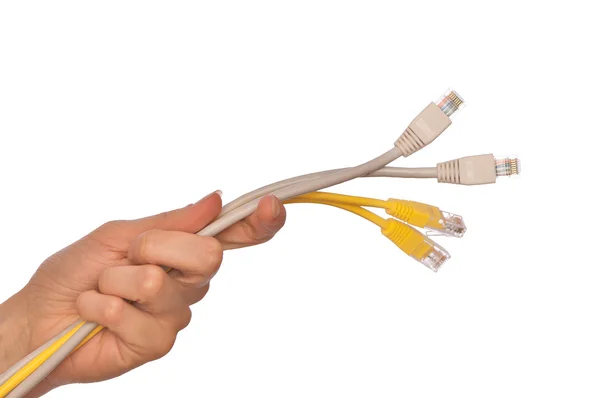 LAN cords — Stock Photo, Image