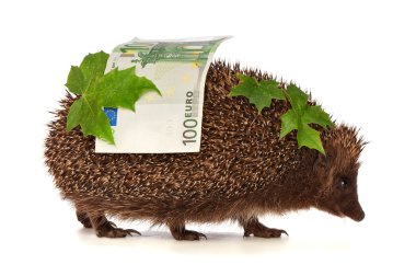 Hedgehog with euro profit clipart