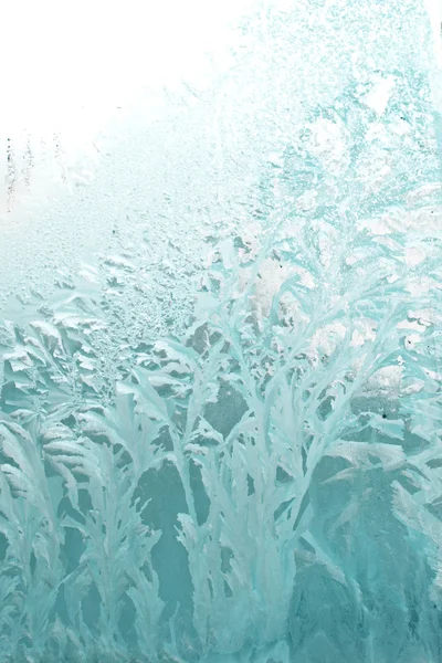 Padrão natural gelado em vidro de inverno — Fotografia de Stock
