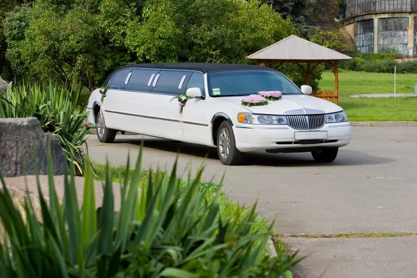 Bílá svatební limuzína. Zdobené květinami. — Stock fotografie
