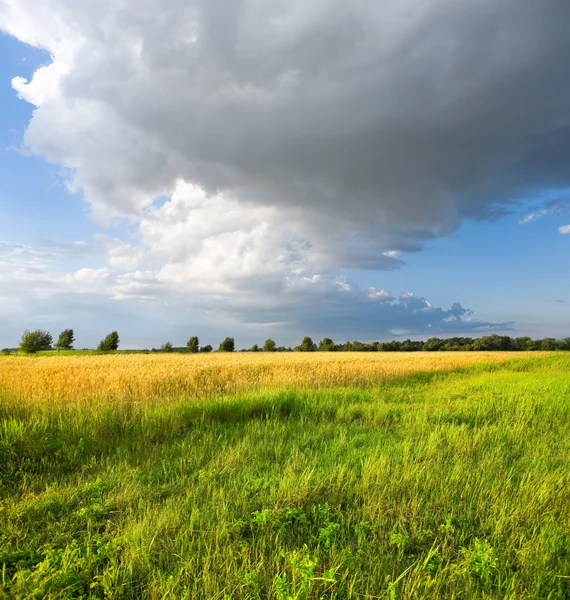 Landschap met stormwolken — Stockfoto