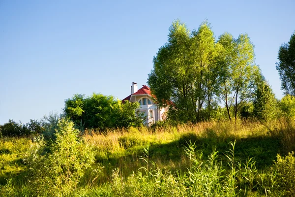 stock image Landscape with trees and house.