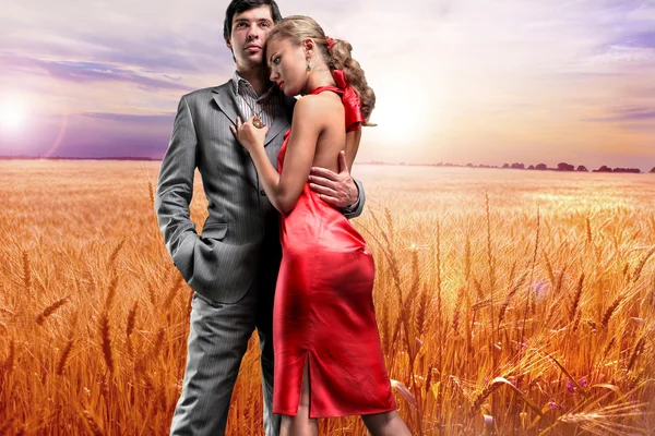 Retrato jovem belo casal sob trigo dourado pronto para har — Fotografia de Stock