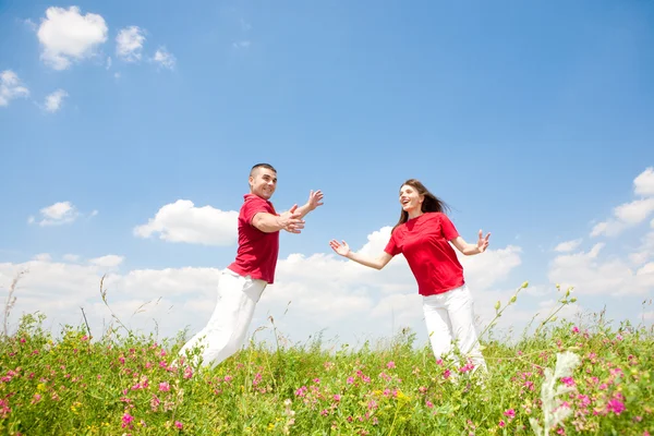 Glücklich lächelndes Paar springt in den Himmel über einer grünen Wiese — Stockfoto