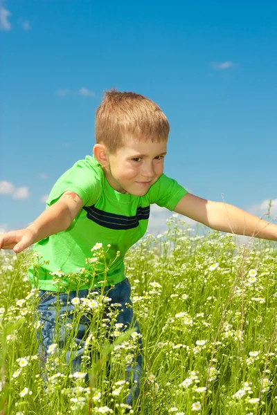 Happy Boy Enjoy Meadow — Stock Photo, Image