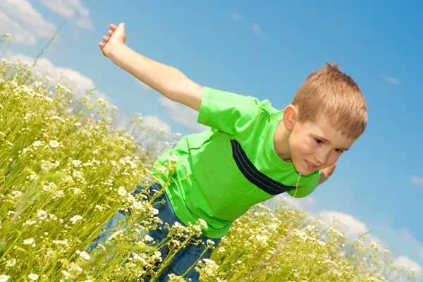 Gelukkige jongen genieten van op de weide — Stockfoto