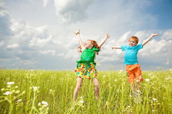 Twee goudharige kinderen spelen in het veld — Stockfoto