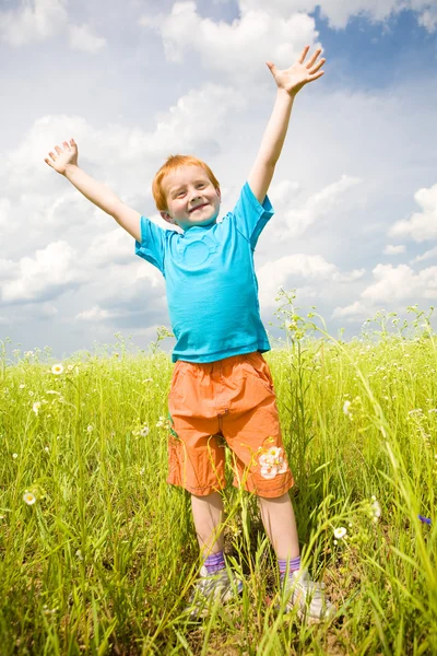幸せな少年は草原の上お楽しみください — ストック写真