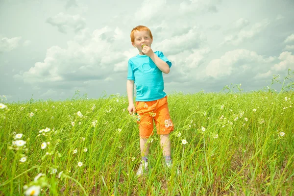 Boldog fiú élvezze a réten — Stock Fotó