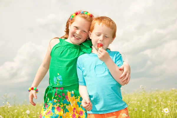 Duas Crianças Cabelos Dourados Brincam Campo — Fotografia de Stock