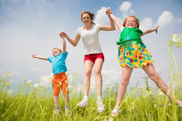 Moeder met kinderen plezier in het veld — Stockfoto