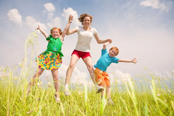 Eine Mutter Mit Kindern Macht Spaß Auf Dem Feld — Stockfoto