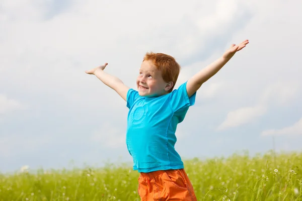 Szczęśliwy Chłopiec Cieszyć Się Łące — Zdjęcie stockowe