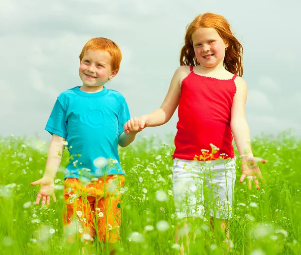 Vackra barn har roligt i fältet — Stockfoto