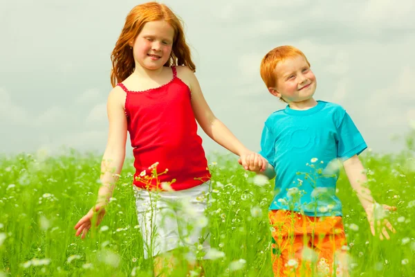 Vackra Barn Har Roligt Fältet — Stockfoto