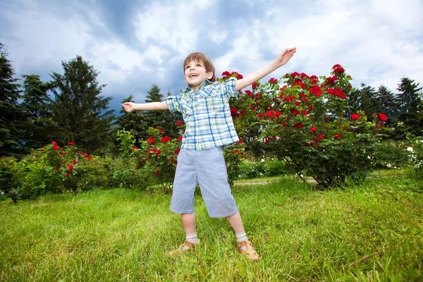 Lycklig Pojke Fältet — Stockfoto