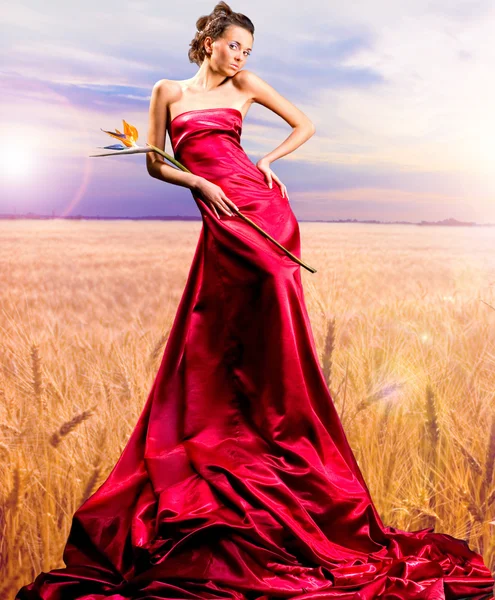 Menina bonita em vestido vermelho. O trigo de ouro pronto para a colheita cresce — Fotografia de Stock