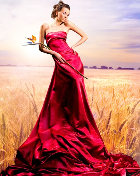 Piękna Dziewczyna Czerwonej Sukience Złoty Gotowe Zbioru Dziedzinie Hodowli Pszenicy — Zdjęcie stockowe