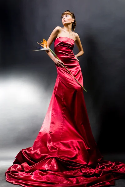 Vacker flicka i en lång röd klänning håller exotiska blomma i en hand — Stockfoto