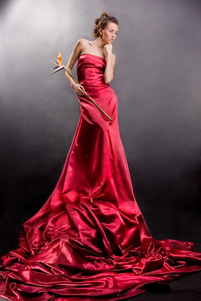 Красивая девушка в длинном красном платье держит экзотический цветок в руке на сером фоне — стоковое фото
